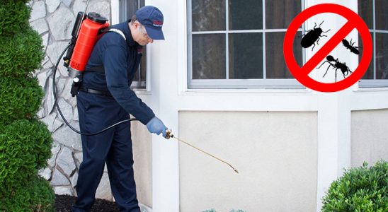Payas Kemirgen İlaçlama böcek ilaçlama ve haşere kontrolü — ilaclama-tr.com
